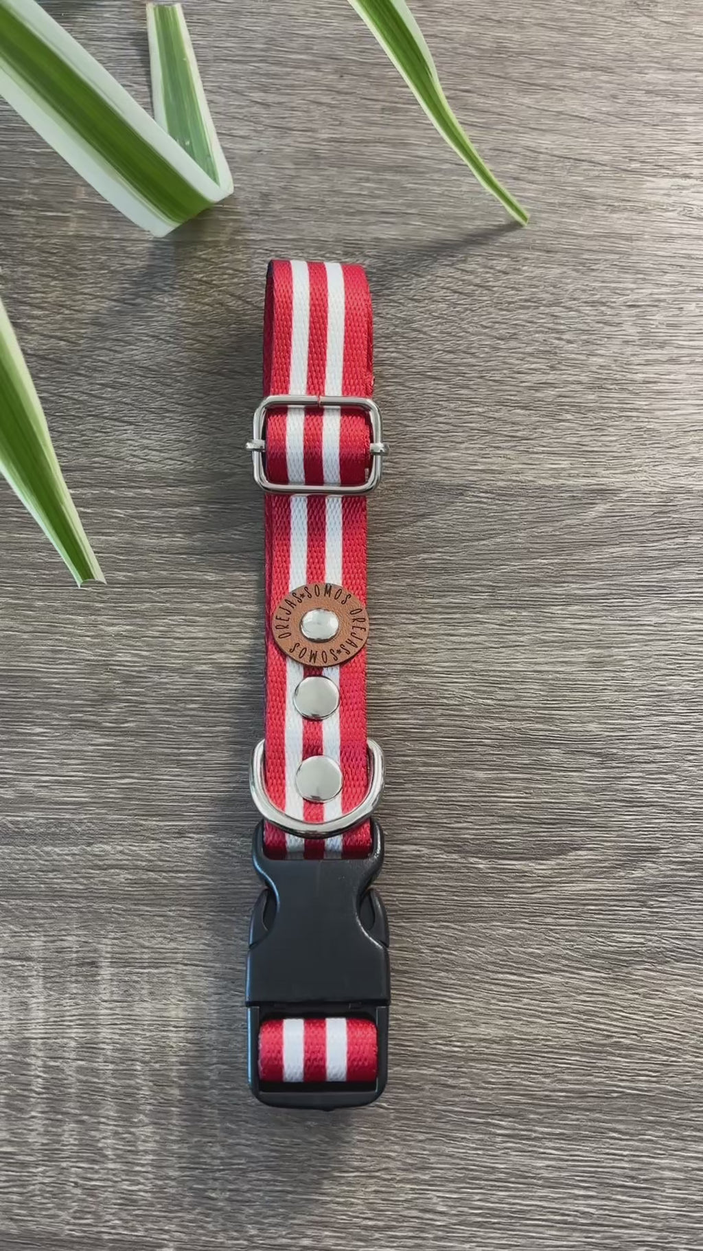 Collar regulable para mascotas - Rayas