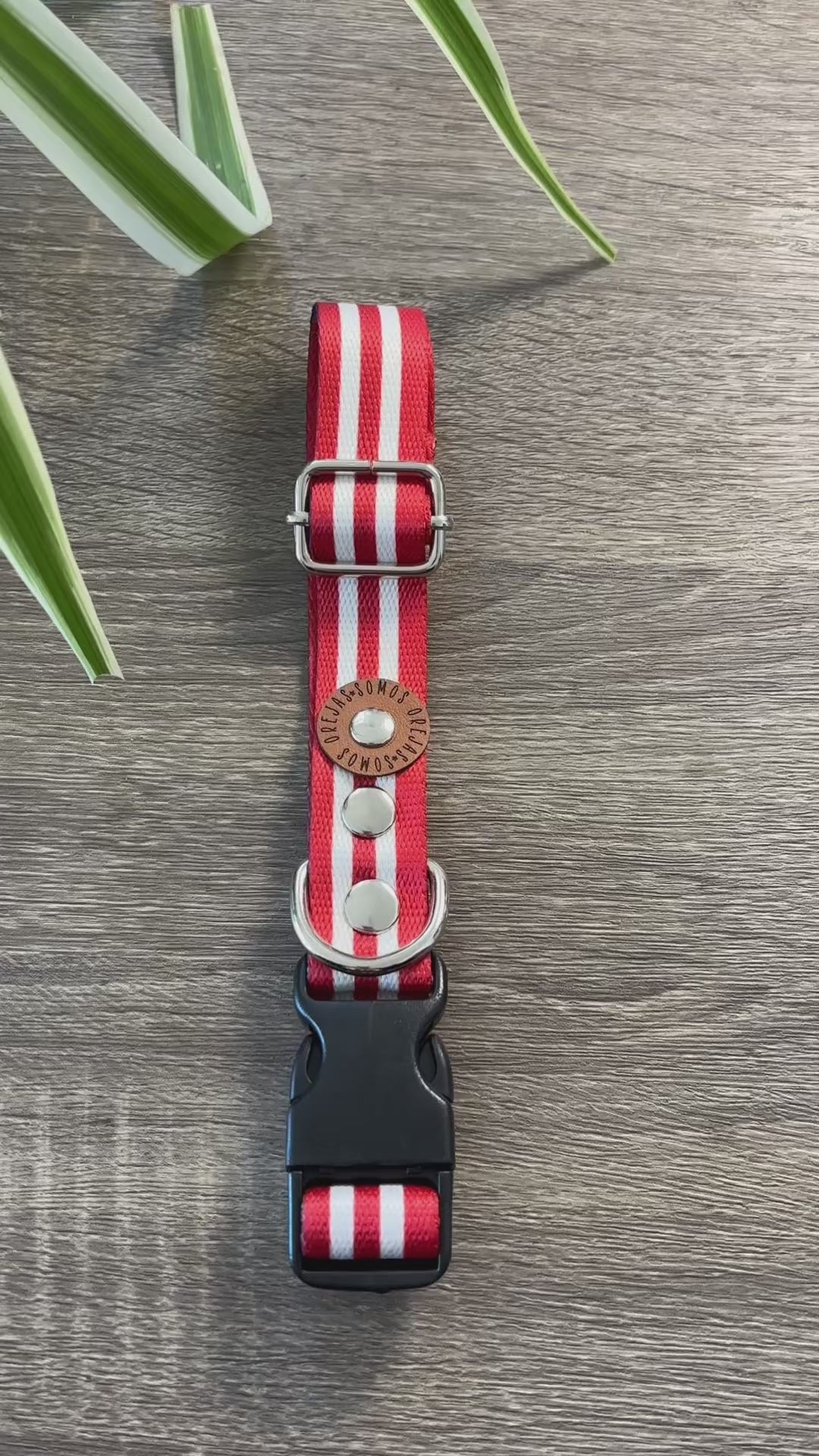 Collar regulable para mascotas - Rayas