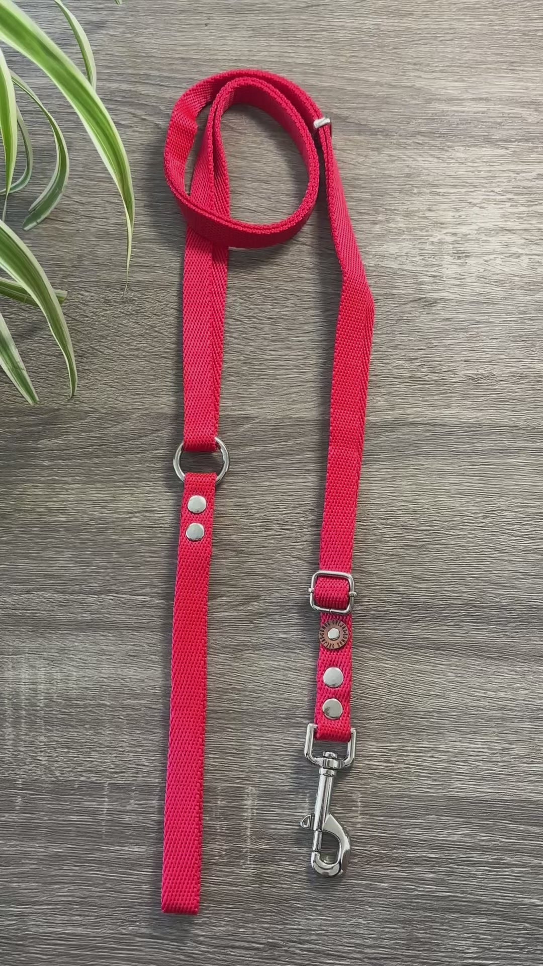 Correa regulable para mascotas - Rojo