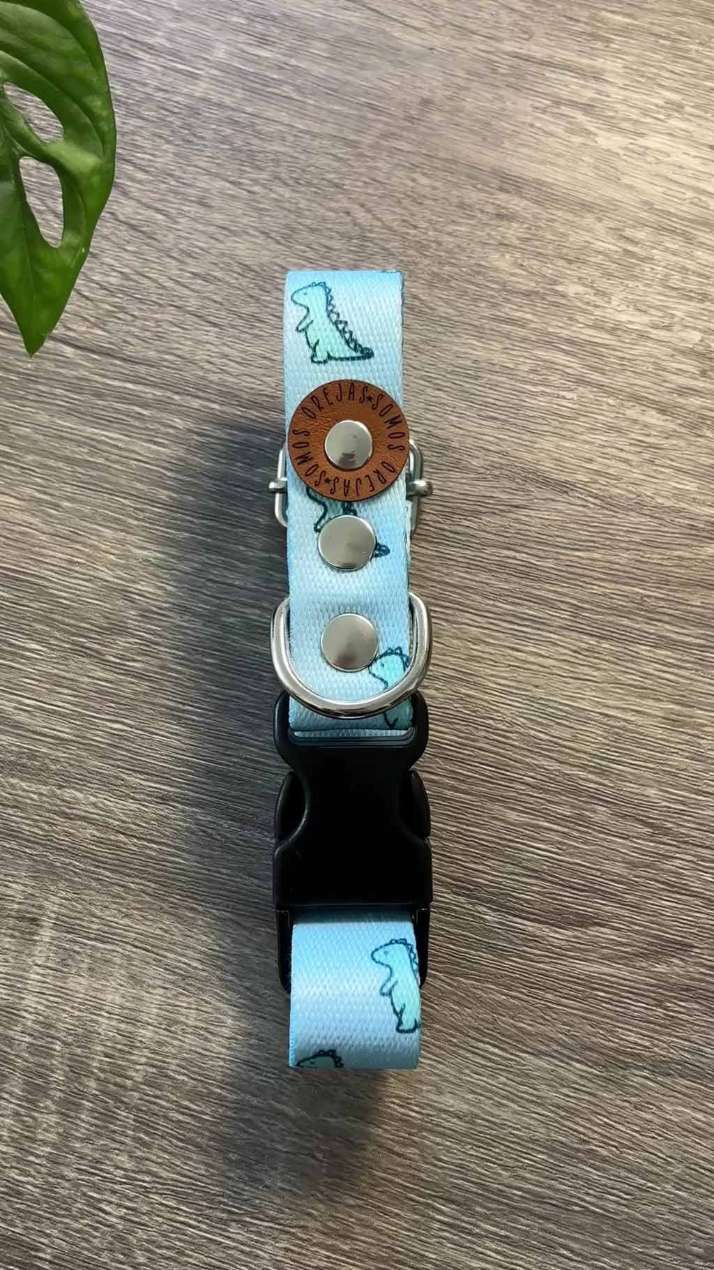 Collar regulable para mascotas - Dino