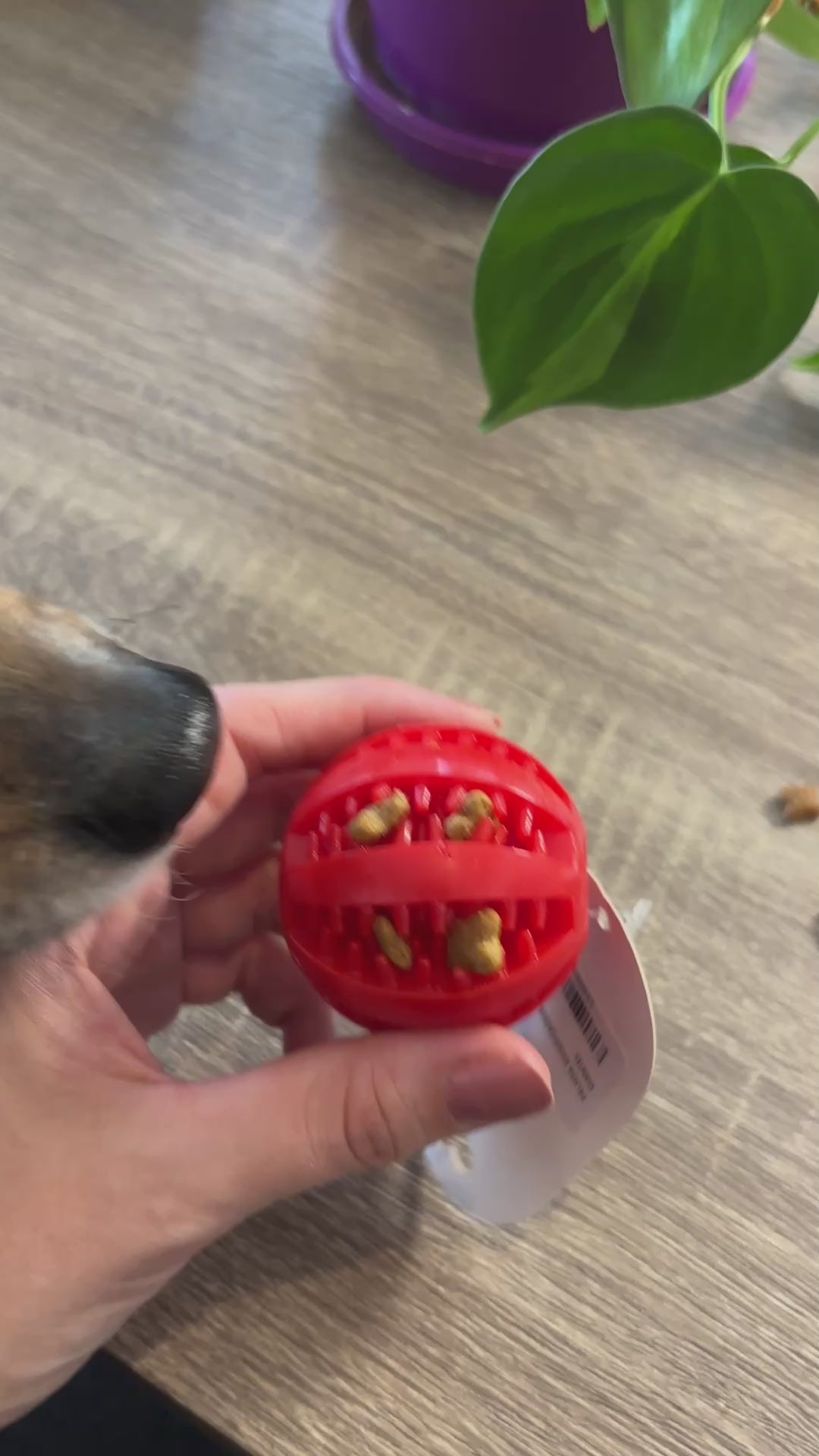 Pelota dosificadora alimento para mascotas