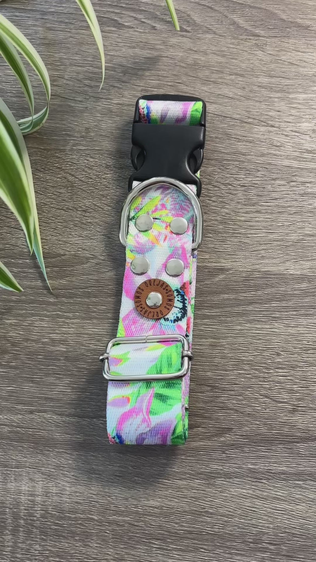 Collar regulable para mascotas - Selvático Reforzado