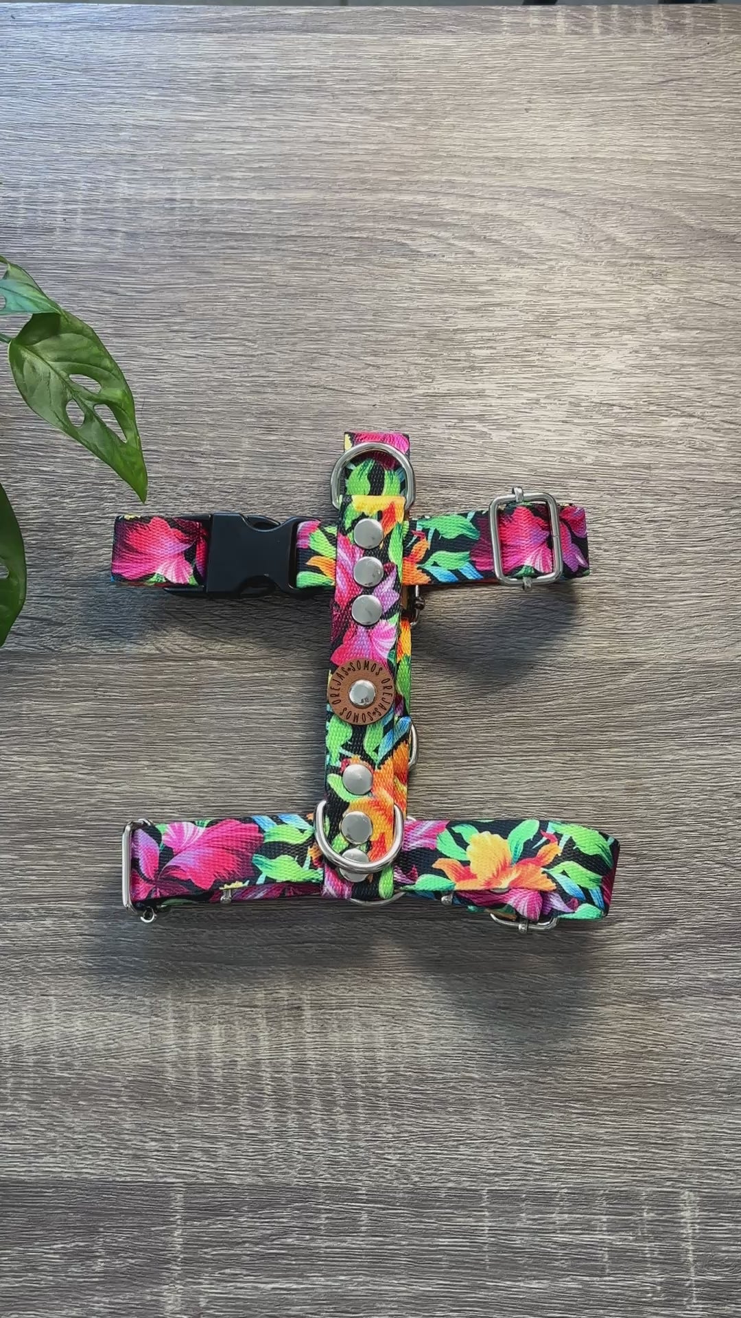 Pretal para perros - Floreado
