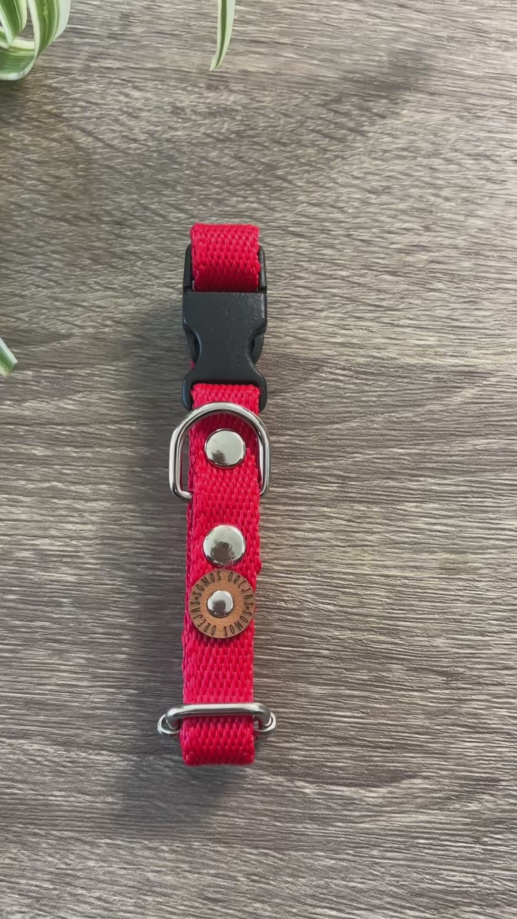Collar regulable para mascotas - Rojo