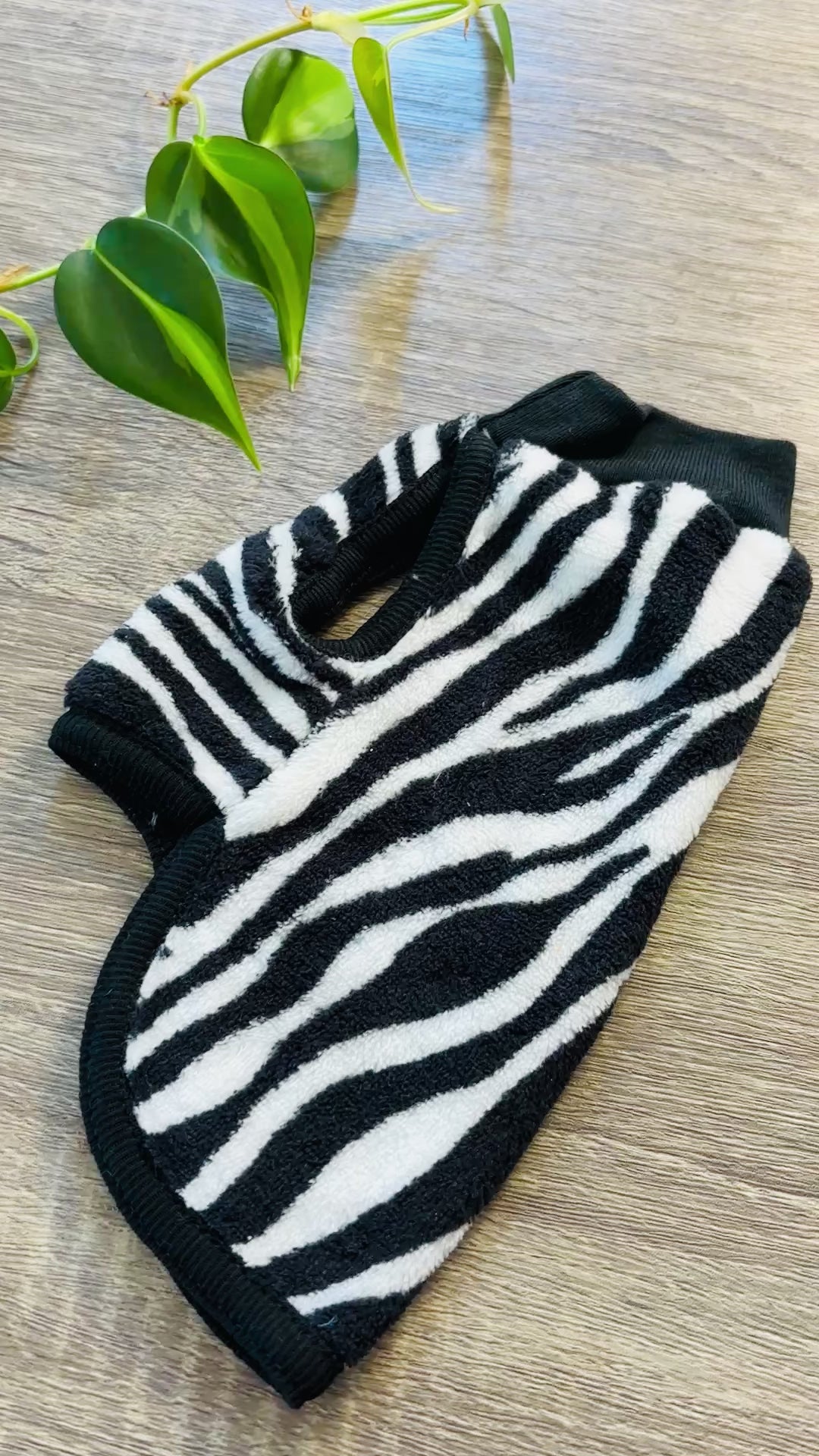 Polar zebra para perros - Talle 0